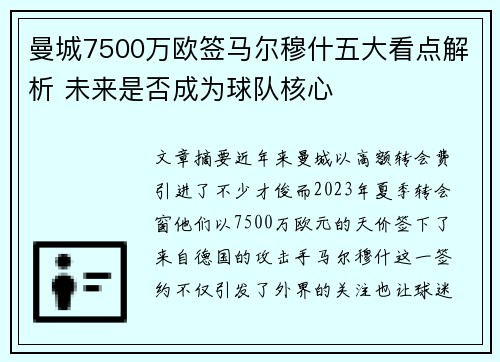 曼城7500万欧签马尔穆什五大看点解析 未来是否成为球队核心